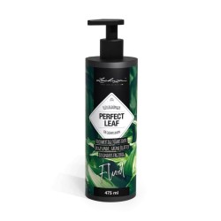 Abono PERFECT LEAF FLUID