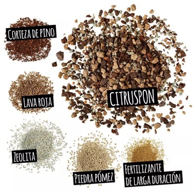 Sustrato CITRUSPON