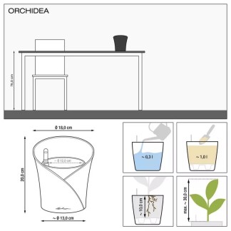 Maceta ORCHIDEA