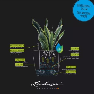 Maceta CLASSICO Color ECO