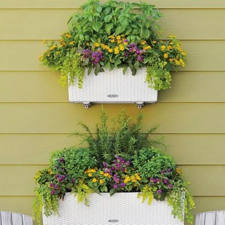 Jardinera BALCONERA Cottage