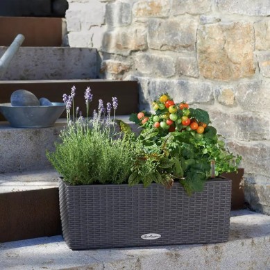 Jardinera BALCONERA Cottage