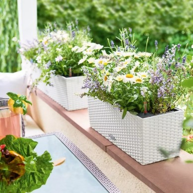 Jardinera BALCONERA Cottage