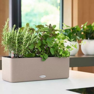 Jardinera CUBE Color