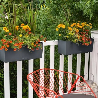 Jardinera BALCONERA Color