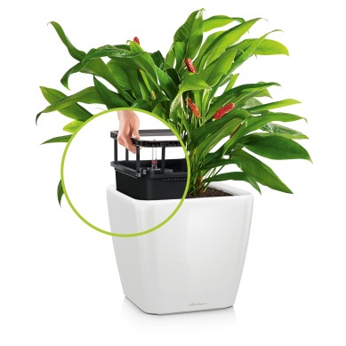 Maceta QUADRO LS