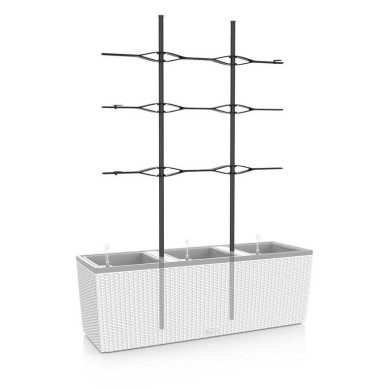 Enrejado para TRIO