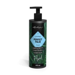 Abono PERFECT PALM FLUID