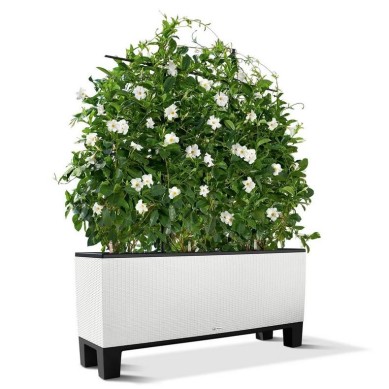 Pedestal para TRIO