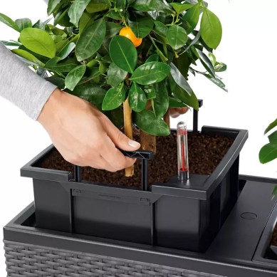 Jardinera TRIO Cottage