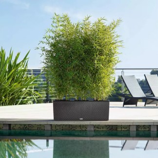 Jardinera TRIO Cottage