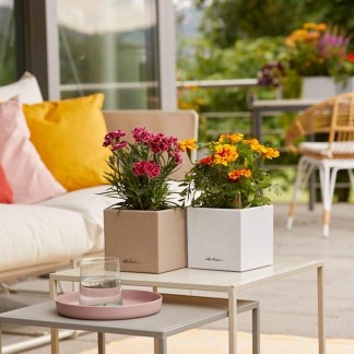 Maceta CANTO Stone 14