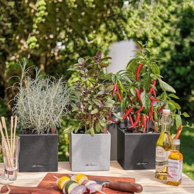 Maceta CANTO Stone 14