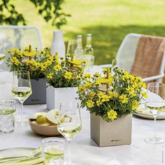 Maceta CANTO Stone 14