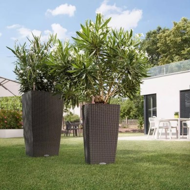 Maceta CUBICO Cottage