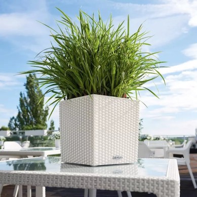 Maceta CUBE Cottage