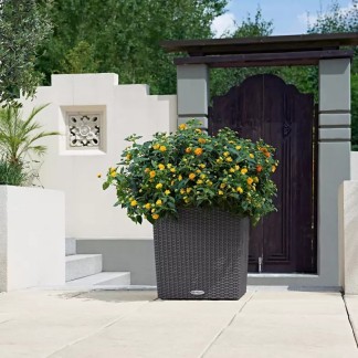 Maceta CUBE Cottage