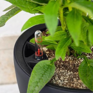 Maceta CLASSICO Color LS