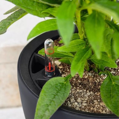 Maceta CLASSICO Color LS