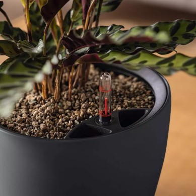 Maceta CLASSICO Color LS