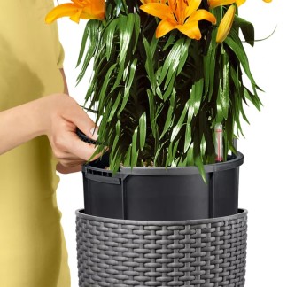 Maceta CILINDRO Cottage