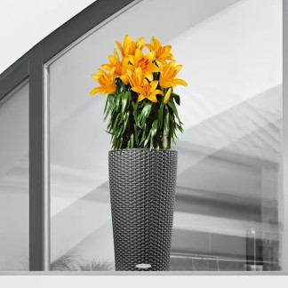 Maceta CILINDRO Cottage