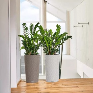 Maceta CILINDRO Cottage