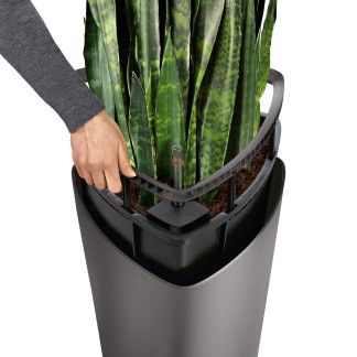 Maceta DELTA navidad