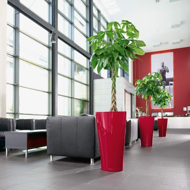 Maceta DELTA navidad