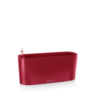 Jardinera DELTA Navidad