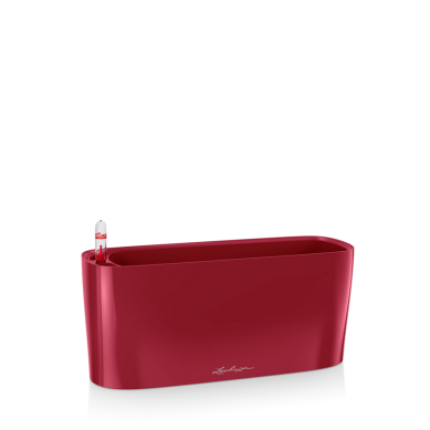 Jardinera DELTA Navidad