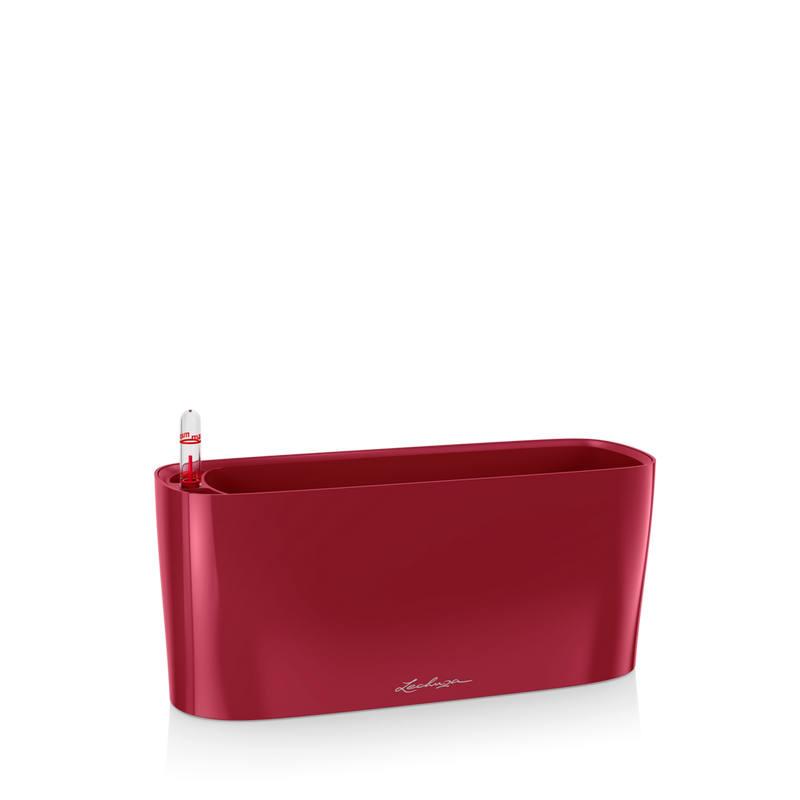 Jardinera DELTA Navidad