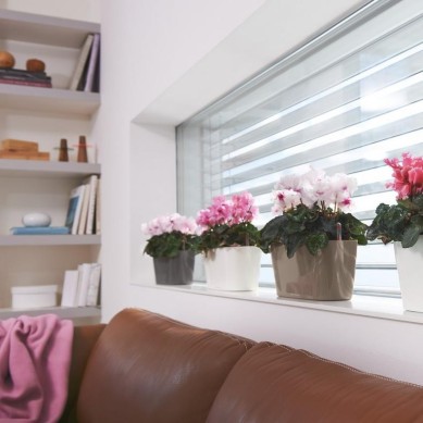 Jardinera DELTA Navidad