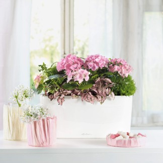 Jardinera DELTA Navidad