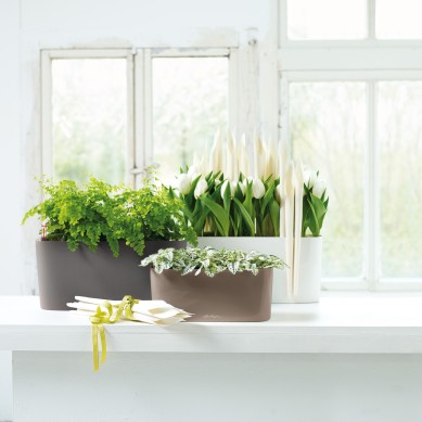 Jardinera DELTA Navidad