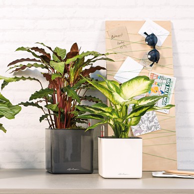 Maceta CUBE Glossy NAVIDAD