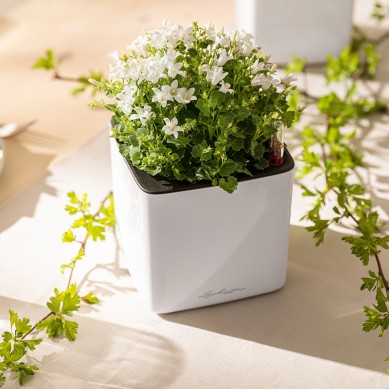 Maceta CUBE Glossy NAVIDAD