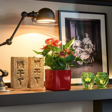 Maceta CUBE Glossy NAVIDAD