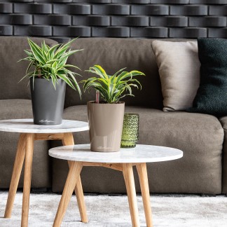 Maceta DELTINI_NAVIDAD