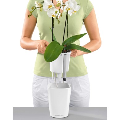 Maceta DELTINI_NAVIDAD