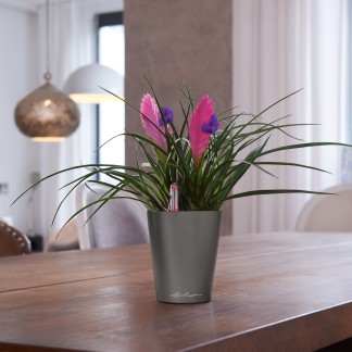 Maceta MINI-DELTINI_NAVIDAD