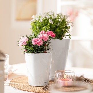 Maceta MINI-DELTINI_NAVIDAD