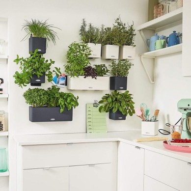 GREEN WALL
