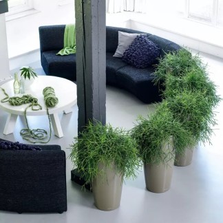 Maceta RONDO_NAVIDAD