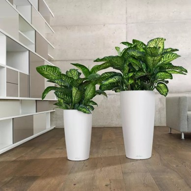 Maceta RONDO_NAVIDAD