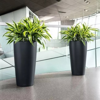 Maceta RONDO_NAVIDAD