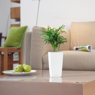 Maceta CUBI_ NAVIDAD