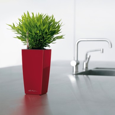 Maceta CUBI_ NAVIDAD