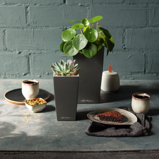 Maceta CUBI_ NAVIDAD