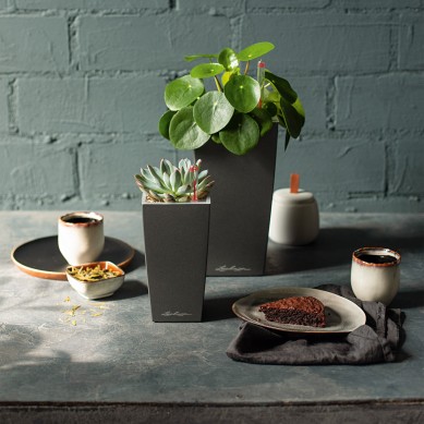 Maceta CUBI_ NAVIDAD